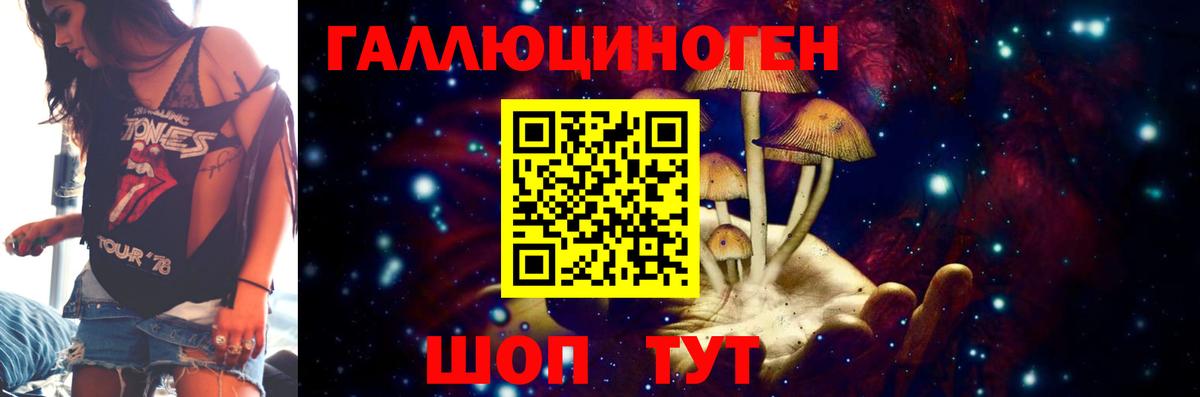 Галлюциногенные грибы Psilocybe  купить наркотик  Красноармейск  Вход с VPN 